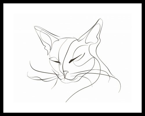 Plakat 40x30cm Linijny Kot na Arena.pl