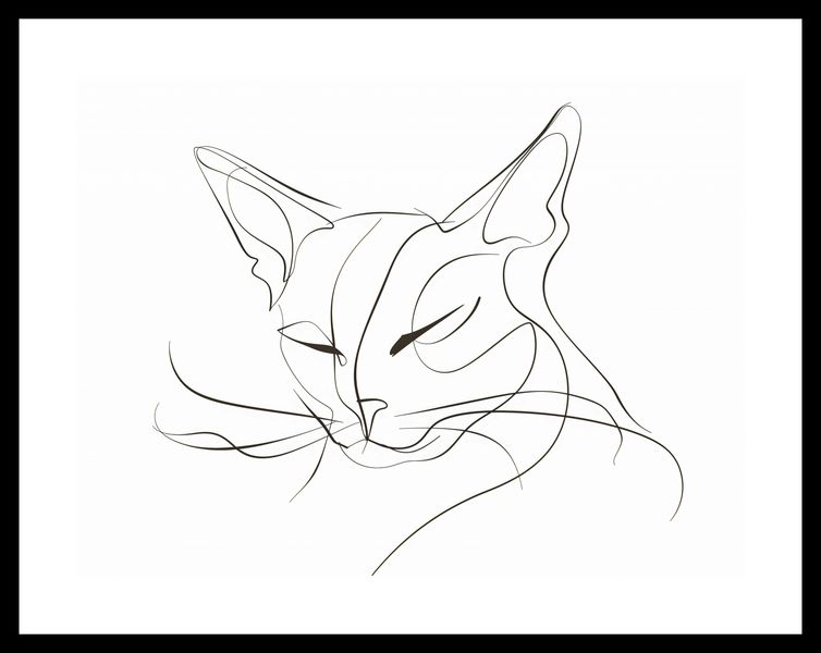 Plakat 40x30cm Linijny Kot zdjęcie 3