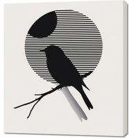 product-compare-59512144