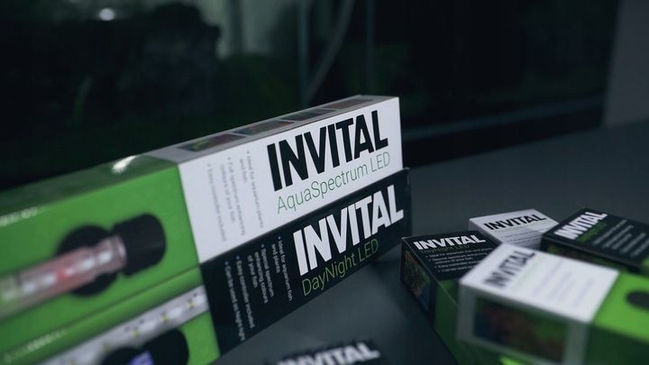 INVITAL DayNight LED 6W 29cm zdjęcie 13