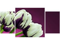 80X40CM FIOLETOWE TULIPANY TRÓJ OBRAZ