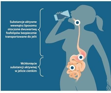 Liposomalna Witamina B COMPLEX 100% 250ml LIPOSOL ALINESS na Arena.pl
