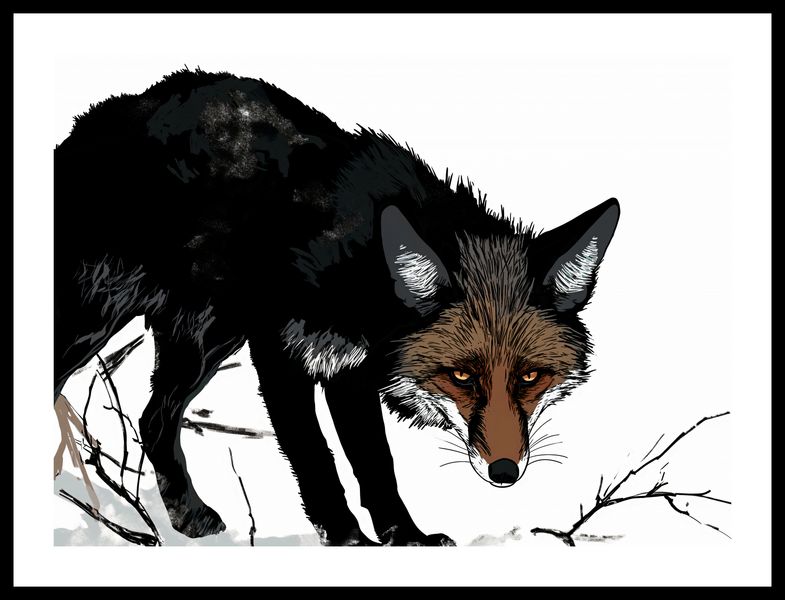 Plakat 55x40cm Nieufny Lis zdjęcie 3