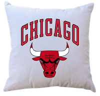 Poduszka z wkładem Chicago Bulls
