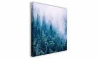 OBRAZ NA PŁÓTNIE 053 Las we mgle 50x50cm