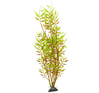 AQUA NATURA Roślina sztuczna ozdoba akwarystyczna dekoracja akwarium 31 cm
