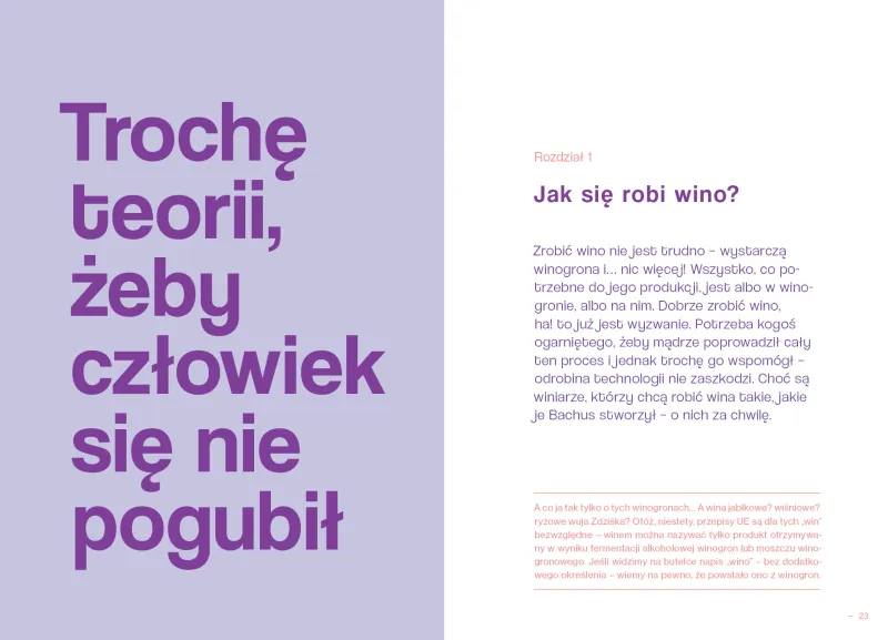 Wino po ludzku zdjęcie 2