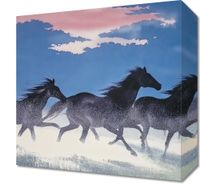 Obraz 30x30cm Wolność i Swoboda