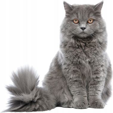 Lab-v Arthrohard Kompleksowe wsparcie stawów dla psów i kotów 500 ml na Arena.pl