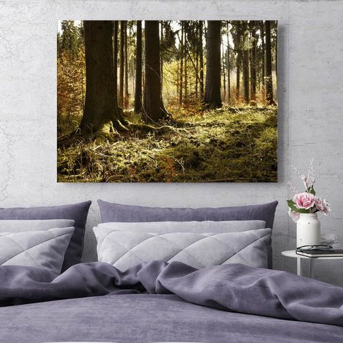 Obraz na płótnie - Canvas, W lesie 90x60 na Arena.pl