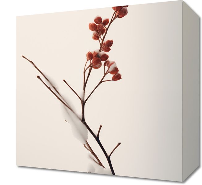 Obraz 30x30cm Subtelna Siła Zimy zdjęcie 1