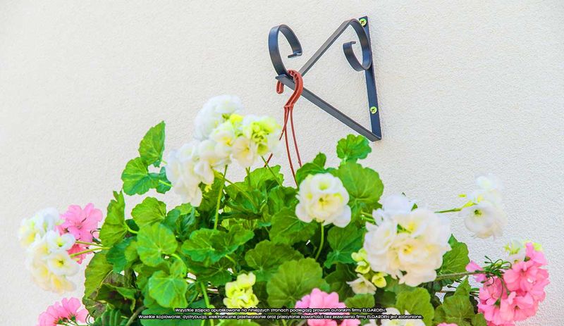 Wieszak ścienny - płaskownik Uchywt na doniczkę zdjęcie 7