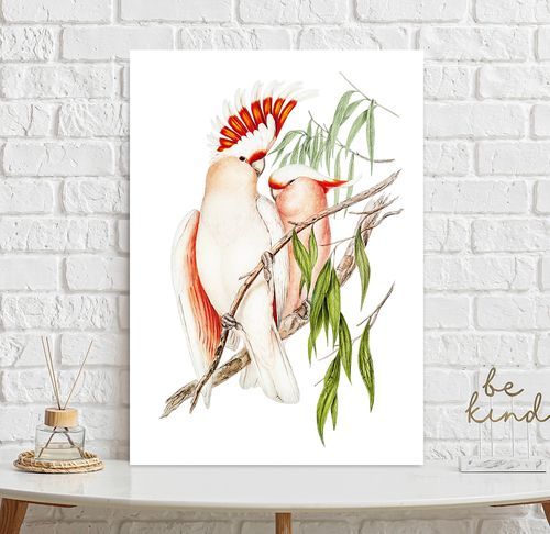 Plakat papugi vintage 30x40 cm na Arena.pl