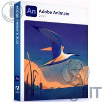 Animate 2021 - Licencja Wieczysta (LifeTime) - Windows - Licencja Biznes - BOX (USB)