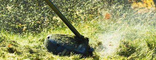 Żyłka tnąca 2.0/15m k okrągła zielona CEDRUS DBPLCEDCN01/03RVY - OFICJALNY DYSTRYBUTOR - AUTORYZOWANY DEALER CEDRUS na Arena.pl