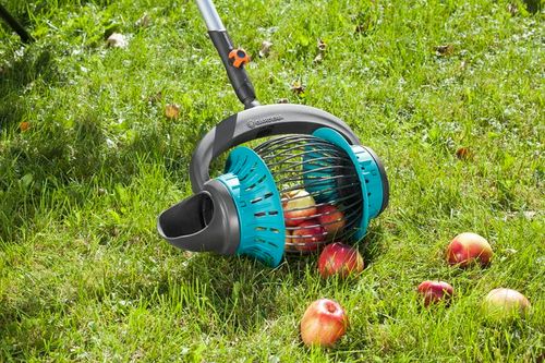 zbierak do owoców -cs - hg-03108-20 na Arena.pl