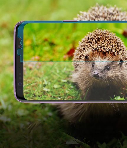 3X FOLIA RINGKE CAŁY EKRAN GALAXY S9 FRIENDLY CASE na Arena.pl