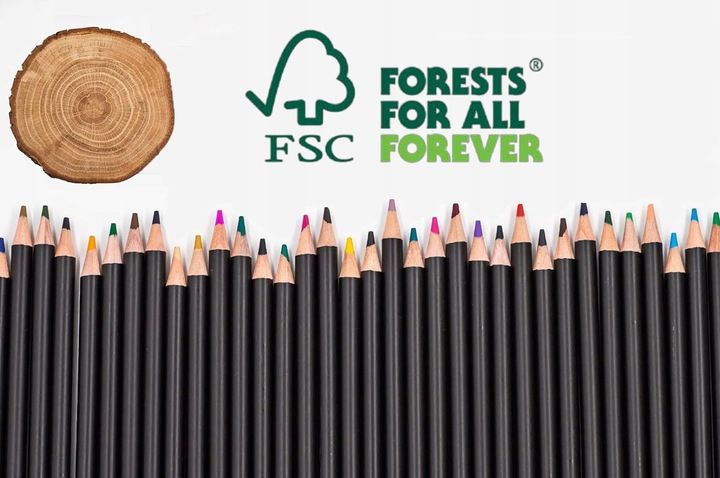 KREDKI OŁÓWKOWE PROFESJONALNE MIĘKKIE DO RYSOWANIA ZESTAW KREDEK 46 W ETUI zdjęcie 2