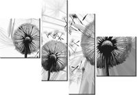 product-compare-58677456