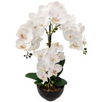 product-compare-48623162