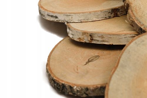 Plastry drewniane, plaster drewna, 10-16 cm na Arena.pl