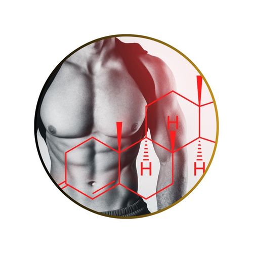 TESTOSTERON tabletki | Naturalny Booster TESTOSTERONU | ManLife TestoBear na Arena.pl