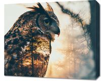 product-compare-59494329