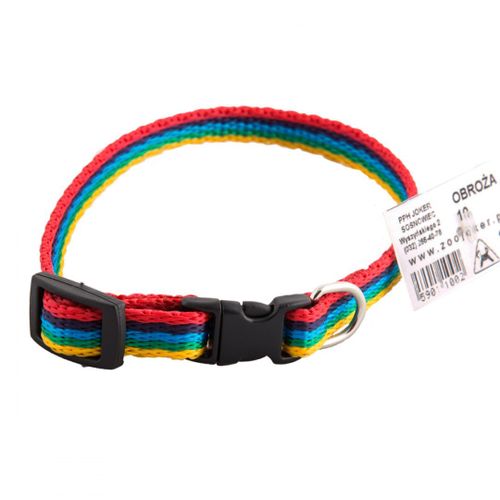 Obroża 10mm/20-30cm KLIK na Arena.pl