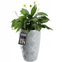 Donica Wysoka Doniczka Z Wkładem Ogrodowa 58,5cm