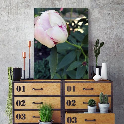 Deco Panel, Biała piwonia 40x60 na Arena.pl