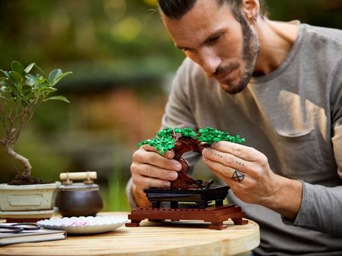 10281 - LEGO Creator - Drzewko bonsai na Arena.pl