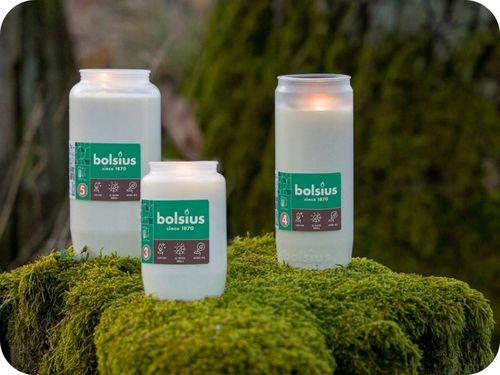 Wkłady do zniczy olejowe Bolsius RC5 całoroczne 100h - zgrzewka 24 sztuki na Arena.pl