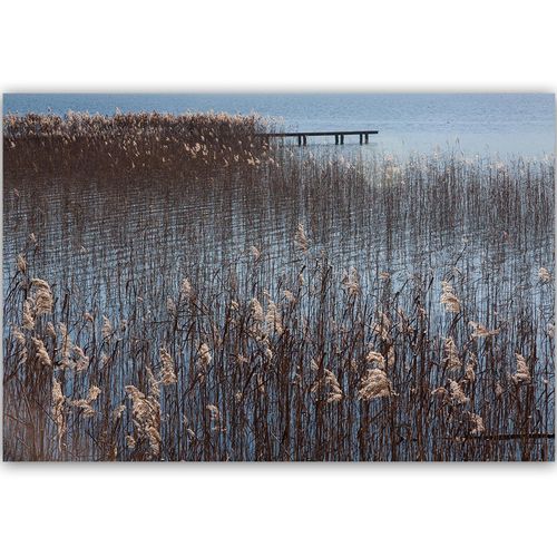 Obraz na płótnie - Canvas, Trzciny nad morzem 90x60 na Arena.pl