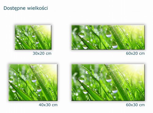 SZKLANA DESKA KUCHENNA 60x20 402c Trawa na Arena.pl