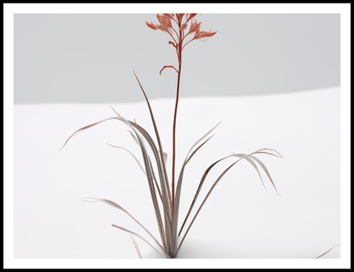 Plakat 100x75cm Subtelność Natury na Arena.pl