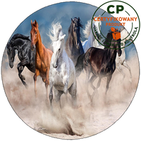 Opłatek na tort Konie