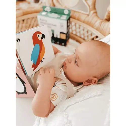 Karty kontrastowe malucha. 6+ miesięcy na Arena.pl