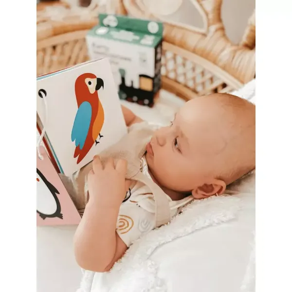 Karty kontrastowe malucha. 6+ miesięcy zdjęcie 2