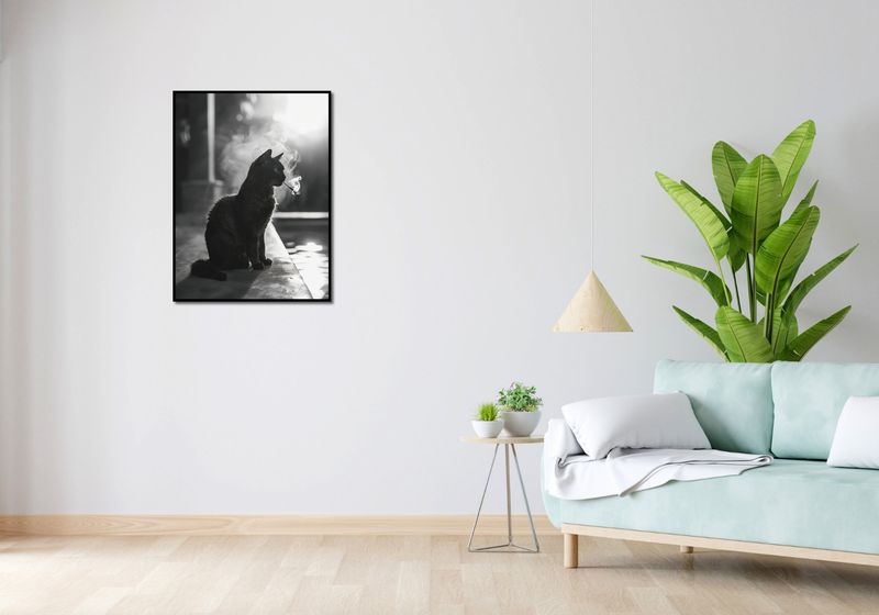 Plakat 60x80cm Kocia Przerwa zdjęcie 4