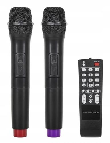 Głośnik Bluetooth 30cm USB Mikrofony Karaoke na Arena.pl