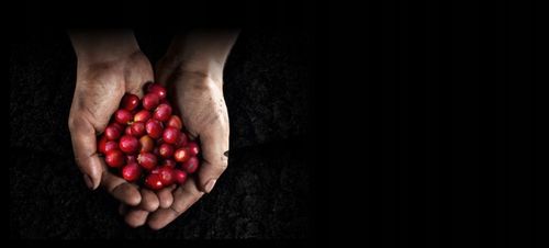 Ekspres DELONGHI Nespresso Inissia EN80.B 19 bar na Arena.pl