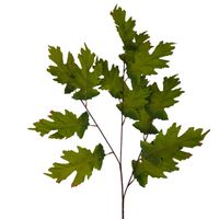 product-compare-61190974