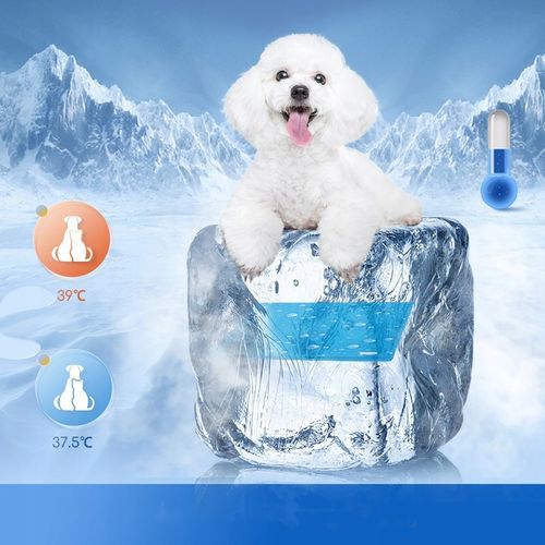 Mata chłodząca dla psów i kotów 50*65cm Nobleza na Arena.pl