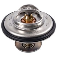 Termostat BMW 3 E36 1991 1992 1993 1994 1995 1996 1997 1998 1999 2000 2001