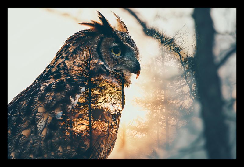 Plakat 30x20cm Sowi Duch zdjęcie 2