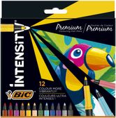 FLAMASTRY INTENSITY FINE 12 KOL 5140