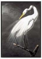 Plakat biały ptak ściana z plakatami 61x91 cm w czarnej ramie