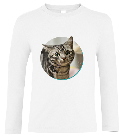 Bluzka tshirt z długim rękawem Kot zdjęcie 1