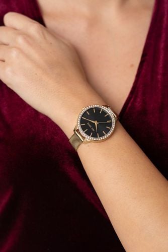 zegarek damski paul lorens pl11312b2-1d1 + box na Arena.pl