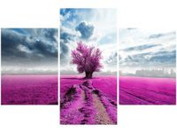 product-compare-58646326